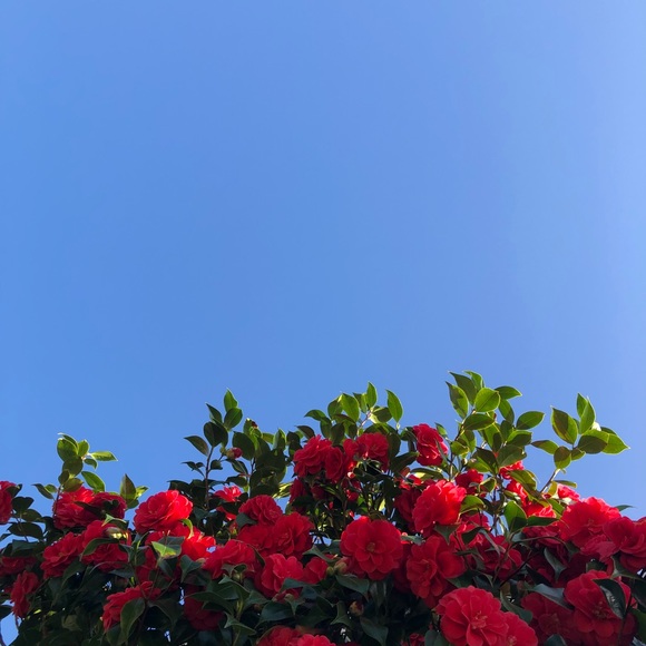 Meet your Posher, Maddi - Picture 5 of 5